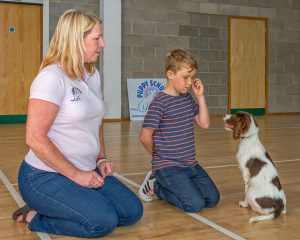 Tutor puppy and boy